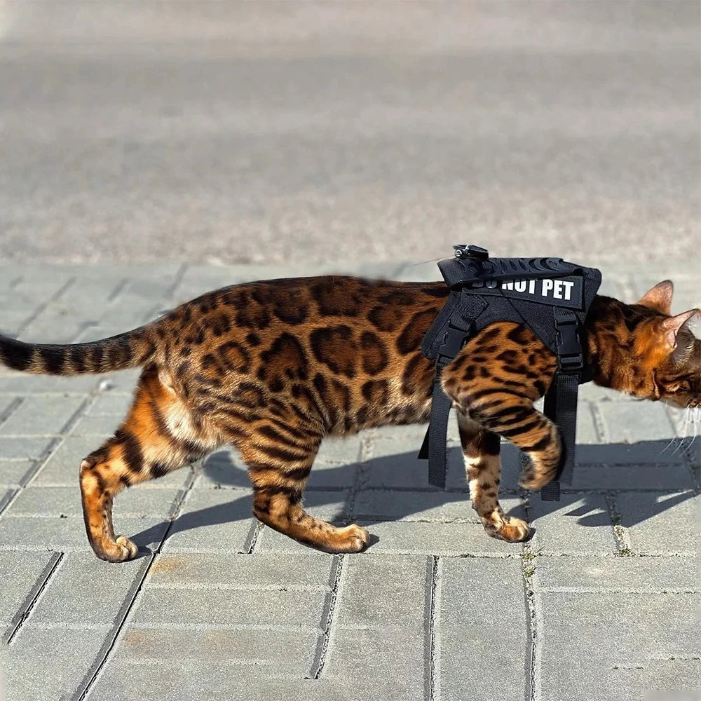 Tactical vest for kittens and small dogs military harness for cats traction strap to prevent escape breathable with 2 Stickers